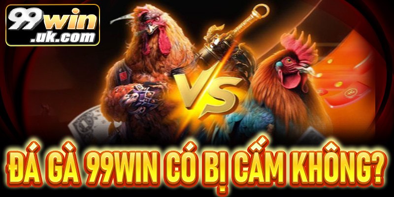 Đá gà 99Win là gì? Có bị cấm ở Việt Nam không?