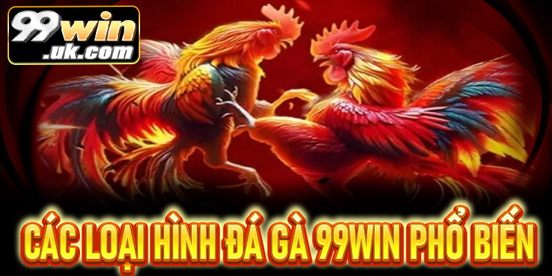 Các loại hình đá gà phổ biến tại 99Win