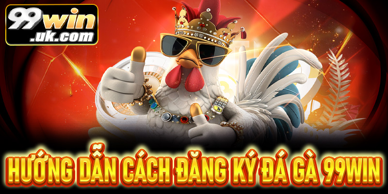 Hướng dẫn đăng ký và bắt đầu chơi đá gà 99Win