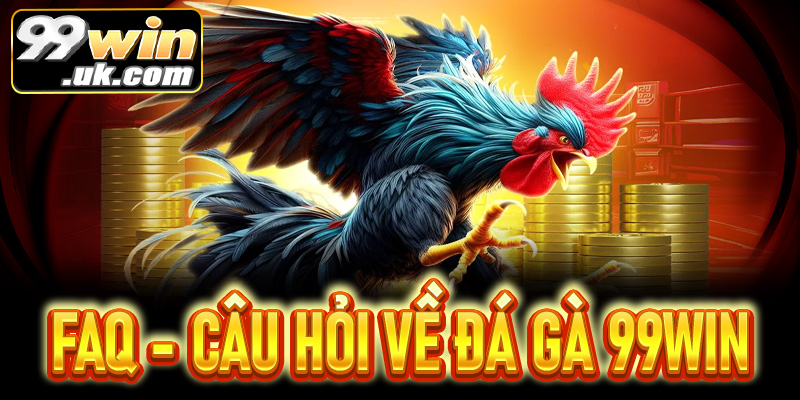 5 Câu hỏi thường gặp (FAQs) về đá gà 99Win